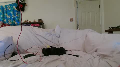 Snapshot of nannabaldur chatting on 12-17-24, 08:32 Nanna Baldur online show from 12-17-24, 08:32