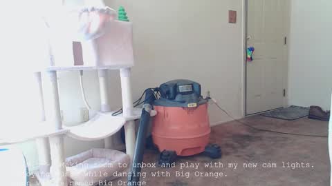 Nanna Baldur online show from 12-16-25, 04:01