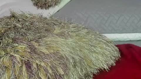 Snapshot of naomy_smithx chatting on 12-13-24, 11:06 Naomy Smith online show from 12-13-24, 11:06