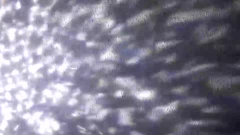 nastysubs69 online show from 12-20-25, 09:49