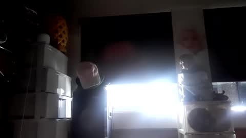 nastysubs69 online show from 06-11-26, 05:33