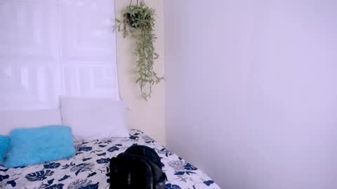 NATALY online show from 04-25-26, 05:21