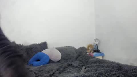 Snapshot of nathaly_love96 chatting on 09-15-25, 06:19 Nathaly online show from 09-15-25, 06:19