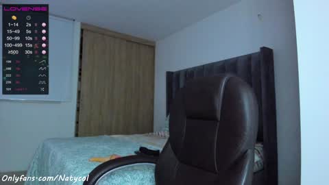 Snapshot of natycol___ chatting on 01-25-25, 03:09   online show from 01-25-25, 03:09