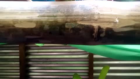 naughty_babex online show from 04-29-26, 04:27