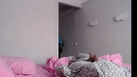 Chris Carrie online show from 02-04-25, 04:05