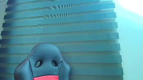 Kitten online show from 02-18-26, 10:33