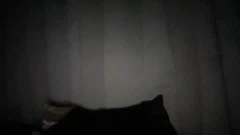 Rose Wilson online show from 01-06-25, 10:24