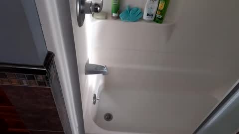 needsub online show from 11-27-25, 09:50