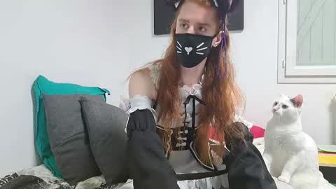 Neko online show from 01-26-25, 12:37