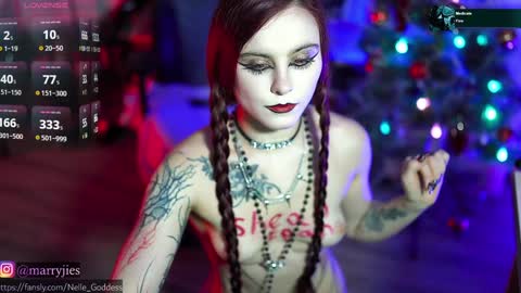 Snapshot of nelle_ chatting on 12-30-24, 04:19 online show from 12-30-24, 04:19