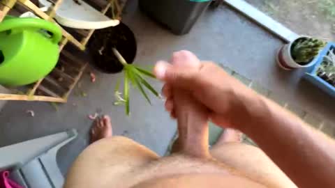 nellyd332169 online show from 01-07-26, 07:16