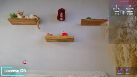 Snapshot of neo_dimou chatting on 05-04-26, 12:01 Jordan online show from 05-04-26, 12:01