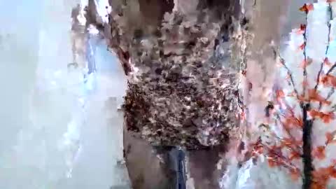 Snapshot of nerii11i chatting on 01-15-26, 07:46 Crystal New online show from 01-15-26, 07:46