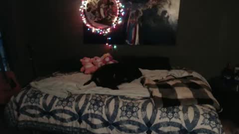 Nettie D Monroe online show from 11-08-25, 05:34