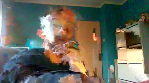 Snapshot of neverland966 chatting on 02-08-25, 07:48 Mark online show from 02-08-25, 07:48