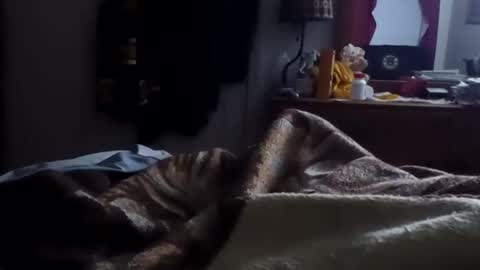 Snapshot of neverseentthatb4 chatting on 01-15-26, 10:31 Matt online show from 01-15-26, 10:31