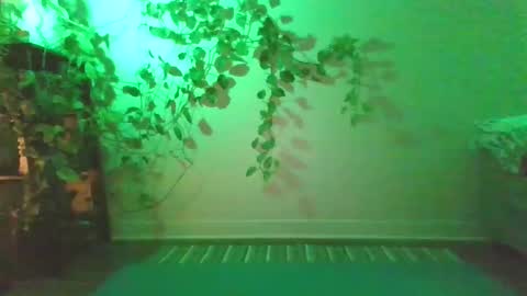 Snapshot of new__moon chatting on 12-27-24, 10:48 luna online show from 12-27-24, 10:48