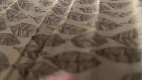 Meow Meow online show from 10-12-25, 08:57