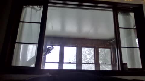 Snapshot of newguy81240 chatting on 01-23-25, 03:54 Newguy81240 online show from 01-23-25, 03:54