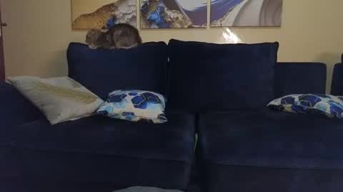 Lilly online show from 02-22-25, 09:48