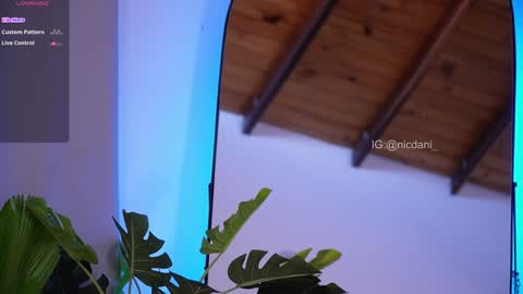 Snapshot of nicdani_1 chatting on 01-18-25, 09:13 Dani 3 online show from 01-18-25, 09:13