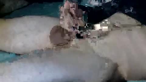 Snapshot of nickanonymous1034 chatting on 10-12-25, 11:20 Nick online show from 10-12-25, 11:20