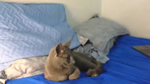 Nicolas              online show from 12-19-24, 12:34