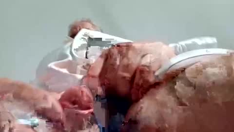 Snapshot of nickthefiddler chatting on 12-28-24, 08:58 TheCock online show from 12-28-24, 08:58