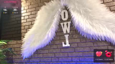 Snapshot of nicky_owl chatting on 11-12-25, 08:48 Today is my 41st birthday And in 2 hours Im waiting for you on the stream Stock up on tokens and a good mood Nicky online show from 11-12-25, 08:48