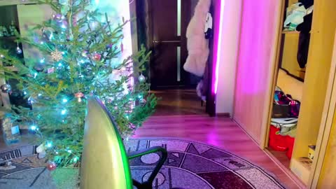 Snapshot of nicky_weekends chatting on 01-14-25, 12:00 Nicky Weekends online show from 01-14-25, 12:00