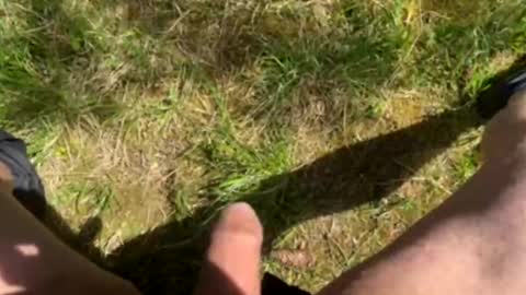 nicle12 online show from 05-02-26, 10:09