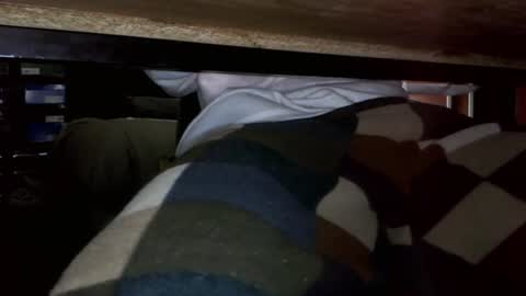 Nicoo online show from 07-11-26, 07:33