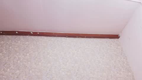 Nicol online show from 12-16-24, 07:21