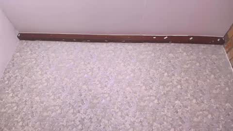 Nicol online show from 12-27-24, 07:14