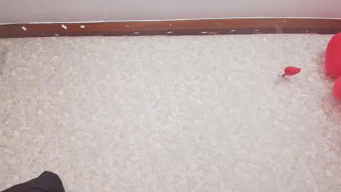 Nicol online show from 02-15-25, 07:17