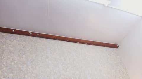 Nicol online show from 10-03-25, 07:44