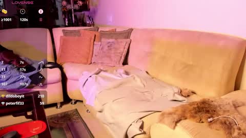 Snapshot of nicolasrodrii chatting on 01-22-25, 04:23 nicolasrodrii online show from 01-22-25, 04:23