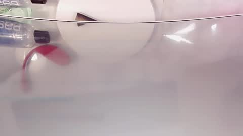 Nicole online show from 10-13-25, 05:57