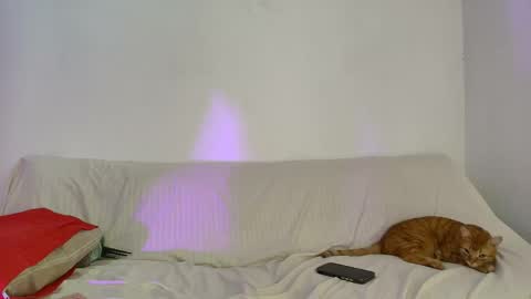 nikki_uwu online show from 06-02-26, 08:00