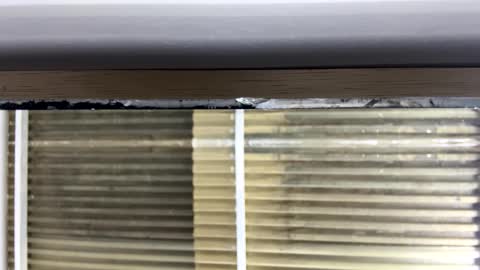 Nikki  online show from 10-14-25, 03:07