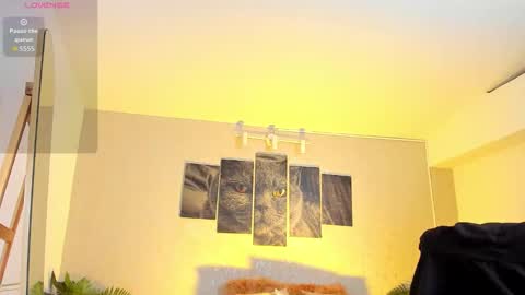 Snapshot of nils_saint chatting on 02-07-26, 04:49 Nils online show from 02-07-26, 04:49