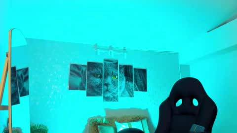 Snapshot of nils_saint chatting on 02-20-26, 06:48 Nils online show from 02-20-26, 06:48