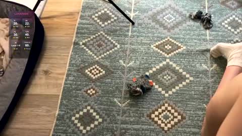 Jennet online show from 12-02-24, 07:49