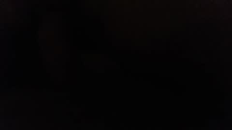 Snapshot of ninjadance chatting on 12-02-24, 11:01 Ninjadance online show from 12-02-24, 11:01