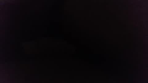 Snapshot of ninjadance chatting on 12-27-24, 10:23 Ninjadance online show from 12-27-24, 10:23