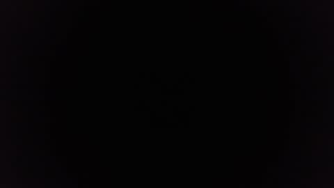 Snapshot of ninjadance chatting on 12-29-24, 11:29 Ninjadance online show from 12-29-24, 11:29