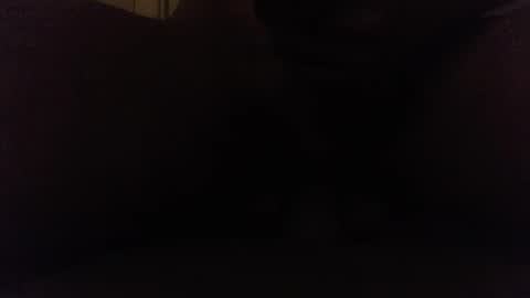 Snapshot of ninjadance chatting on 10-08-25, 08:12 Ninjadance online show from 10-08-25, 08:12