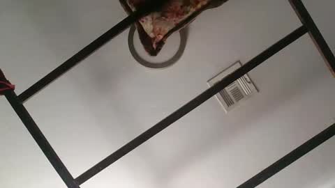 nipplechaser online show from 01-18-25, 05:37