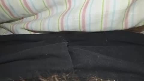 niterider22 online show from 03-14-26, 01:23